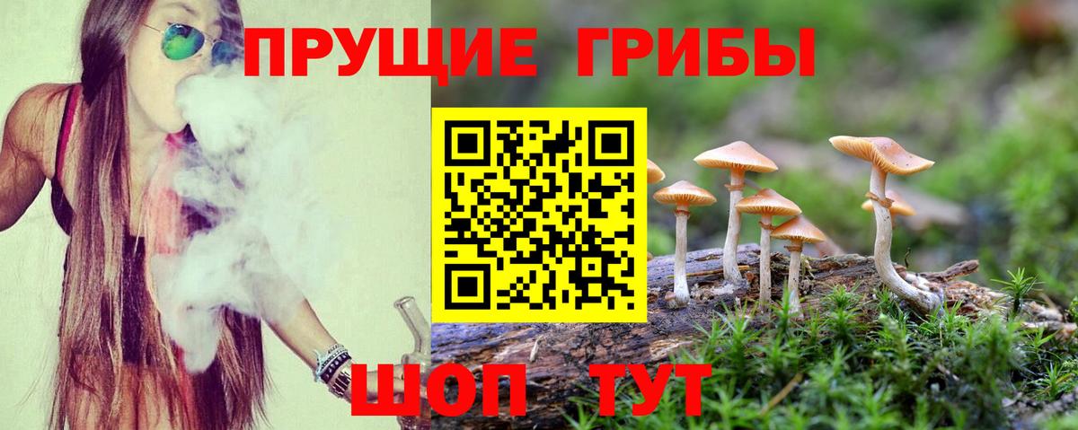 Галлюциногенные грибы Psilocybe Ярославль