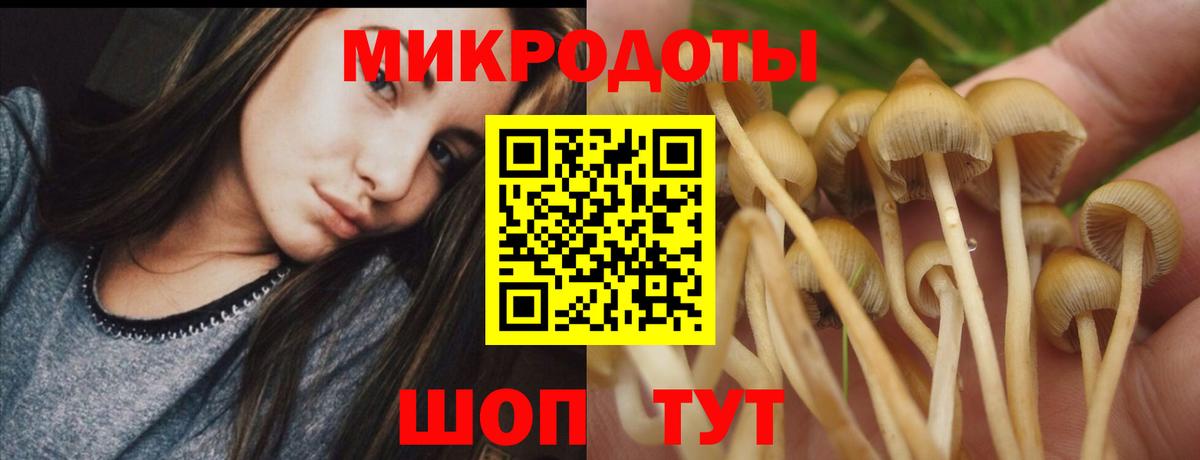 Псилоцибиновые грибы MAGIC MUSHROOMS  Вход с VPN  Ярославль  Псилоцибиновые грибы прущие грибы 