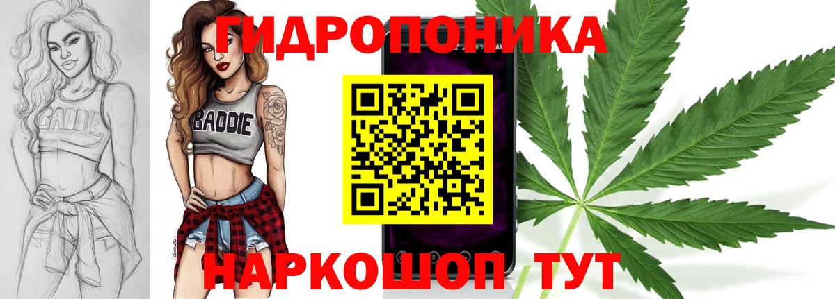 Ярославль  Шишки марихуана MAZAR  Бошки марихуана тримм  Вход с VPN  Конопля Bruce Banner  Бошки Шишки план 